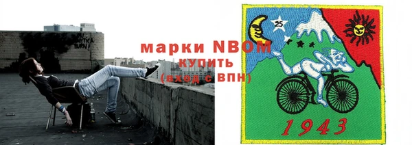 бошки Алексин