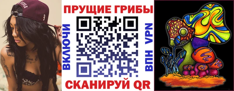 Псилоцибиновые грибы Magic Shrooms  ОМГ ОМГ вход  Ясный 