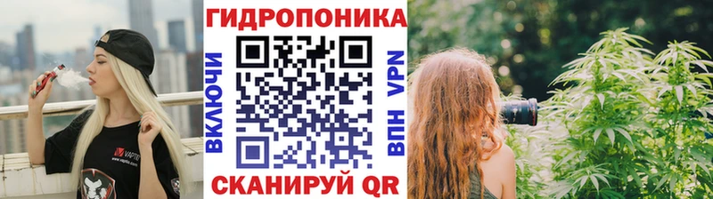 Каннабис семена  наркошоп  Ясный 